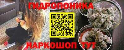 винт Гатчина