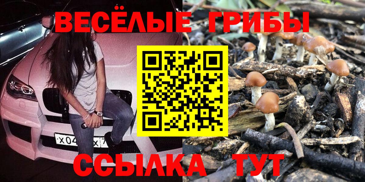 Новокузнецк  Галлюциногенные грибы ЛСД  Вход с VPN 