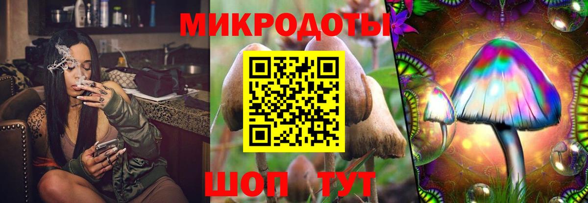 Галлюциногенные грибы MAGIC MUSHROOMS Новокузнецк